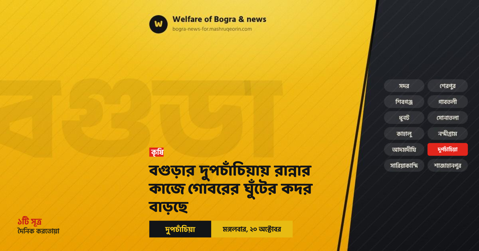 বগুড়ার দুপচাঁচিয়ায় রান্নার কাজে গোবরের ঘুঁটের কদর বাড়ছে